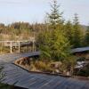 Отель Ferienwohnung Vogelnest im Schwarzwald, фото 6