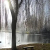 Отель Camping De LAigrette, фото 8