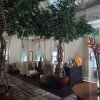 Отель Banyan Tree Seychelles, фото 9