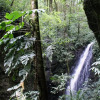 Отель Mount Totumas Cloud Forest, фото 15
