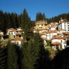 Отель Villas & SPA at Pamporovo Village, фото 7