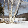 Отель Mountain Meadows Lodge, фото 45