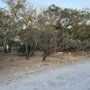 Отель Maingam Resort, фото 5
