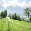 Отель Chalet in Iselsberg Stronach With a View of the Dolomites, фото 13