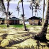 Отель Cabins in Chichime Island, фото 9