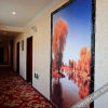 Отель Jiahe Hotel, фото 10