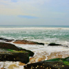 Отель KTDC Samudra Resort, фото 11