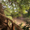 Отель Mara Sweet Acacia Lodge, фото 16