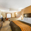 Отель Comfort Inn, фото 2