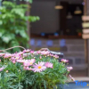 Отель Wo Tian Wo Yuan Hostel, фото 8