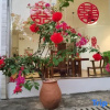 Отель Liangqi Mountain Villa Inn, фото 8