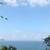 Отель Vidigal Maison Dhôtes, фото 6