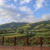 Отель Posada La Guadalupe, фото 41