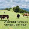 Отель DreamLand Home stay (JALORI PASS), фото 21