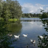 Отель (left) Garden Suite in Villa near TUe and Centre, фото 16