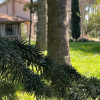 Отель Poggio delle Molare, фото 41