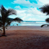 Отель Zhaya's Beach and Cottages, фото 5
