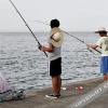 Отель Taean Star and Sea Pension, фото 16