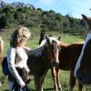 Отель Casa Rural La Matuca, Senda Del Oso, Asturias, фото 10