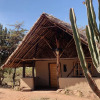 Отель Maji Moto Maasai Cultural Camp, фото 8