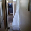 Отель Neita's Nest - Jamaican Bed & Breakfast, фото 12