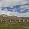 Отель Pangong Retreat Camp, фото 25