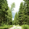 Отель The Morrum River Bed and Breakfast, фото 11
