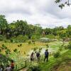 Отель Amazon Oasis Lodge, фото 13