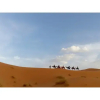 Отель Nomadic Luxury Camp, фото 25
