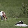 Отель Rural La Llosa de Fombona, фото 8