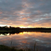 Отель Brisbane North B&B and Winery, фото 29