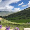 Отель Paro Village View Home Stay, фото 6