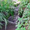 Отель Ruan Mai Hom KINIMAN, фото 9