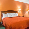 Отель Quality Inn Northeast, фото 7