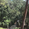 Отель Pet Friendly Casa Studio in the Woods, фото 7