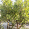 Отель Stylish 2Br Apartment in the Heart of Hamilton 3, фото 21