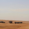 Отель Arabian Oryx Camp, фото 11