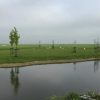 Отель Rijnhoeve, фото 17