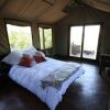 Отель Wild Ivory Eco Lodge - All Inclusive, фото 3