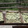 Отель Agriturismo Il Mulino, фото 4