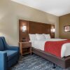 Отель Comfort Inn & Suites Downtown near University, фото 9