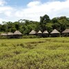 Отель Kapawi Ecolodge & Reserve, фото 17