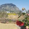 Отель Wind Jeju Cafe & Pension, фото 17