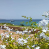 Отель Seaside Apartment Baja Sardinia - 6pl August - 150 m From Smeraldo Beach !, фото 15