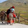 Отель Agriturismo La Valle Delle Aquile, фото 9