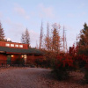 Отель Sunny Pines Cottage, фото 11