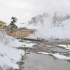 Отель Goshougake Onsen Ryokan, фото 9