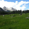 Отель Unterreinischhof, фото 15