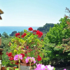 Отель Studio Apartment Papadatos - Pelekas Beach, Corfu, фото 14