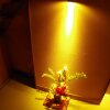 Отель Ryokan Katsuraso, фото 13